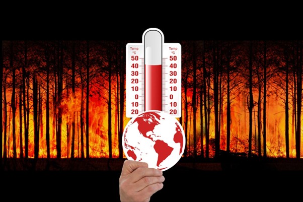 The Hypocrisy of Environmental Destruction"