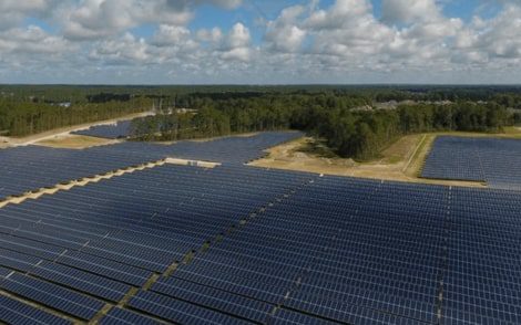 Mississippi agriculture, energy officials support USDA's rollback of solar subsidies on prime farmland