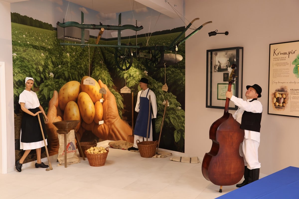 Potato Museum in Belica in Međimurje