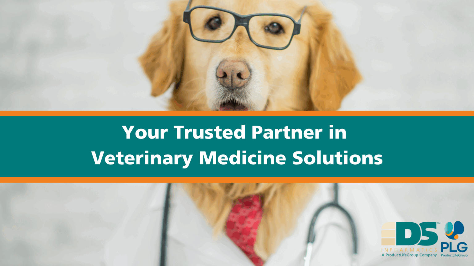 Strategic tips for early-stage animal health companies.