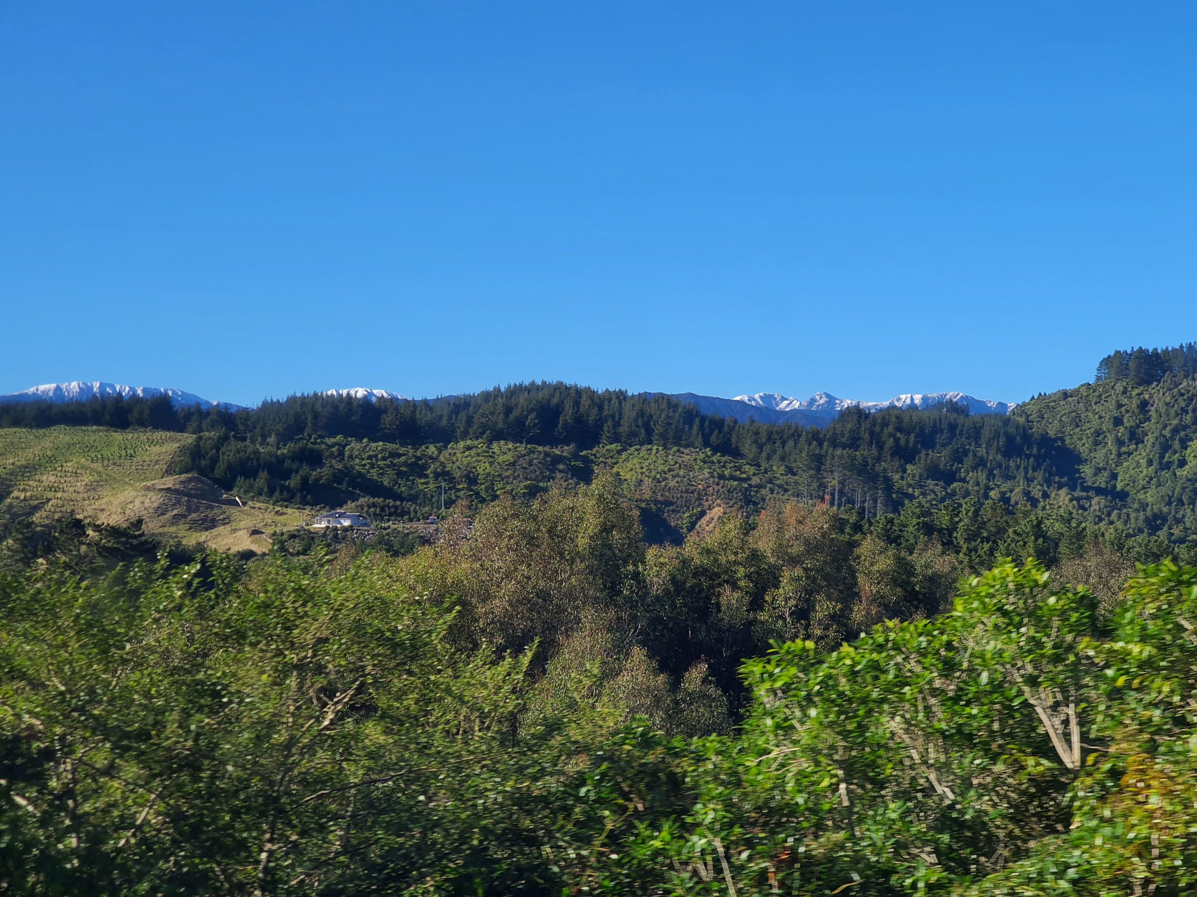 A view of snow capped mountains from the top of Dirt Farm, Te Horo, Hautere, just outside of Wellington.