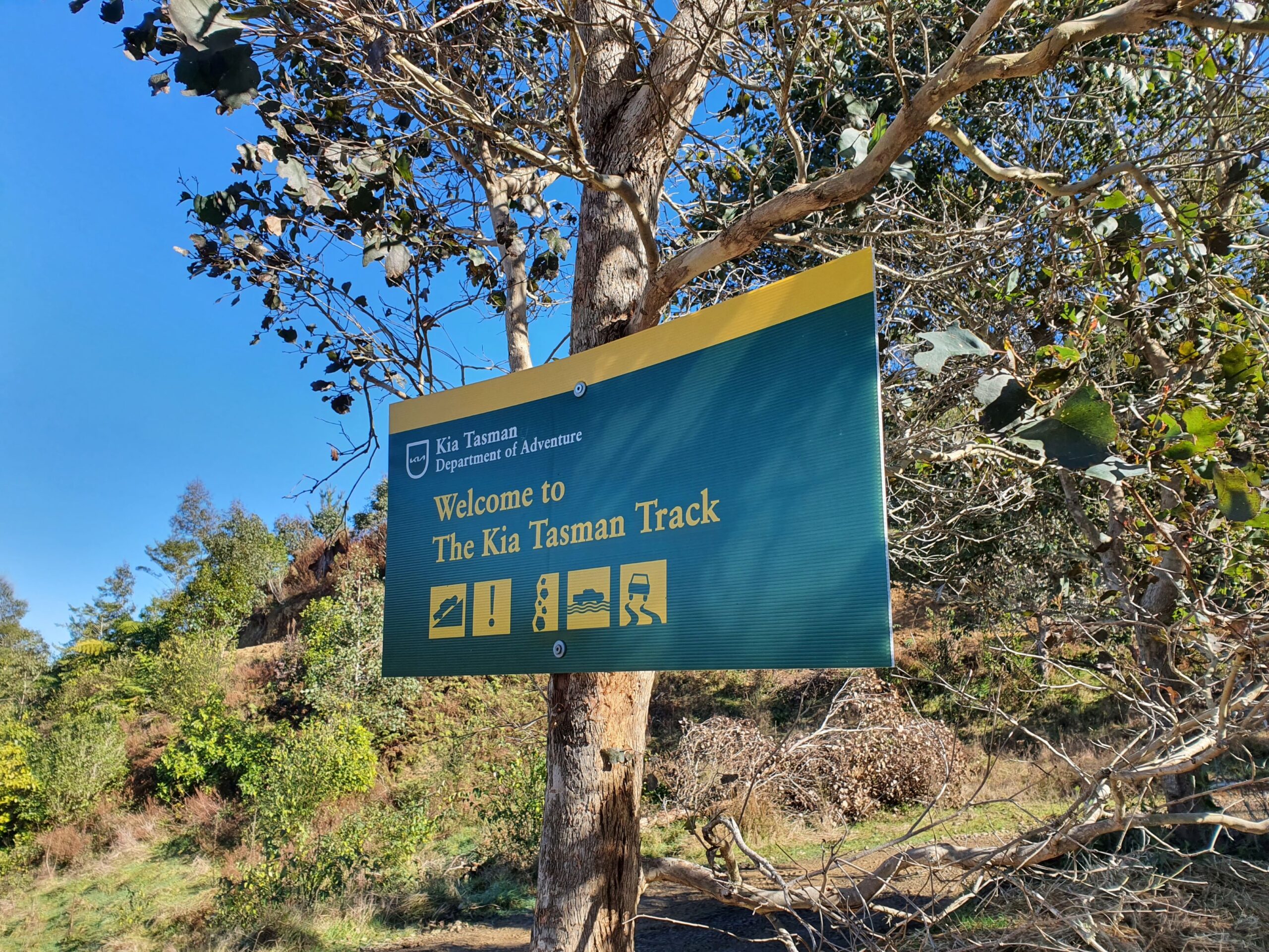 A photo of 'Department of Conservation' style signs with Kia Tasman motifs.