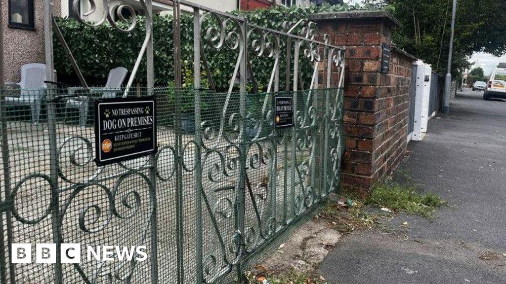 XL bully attack on woman 'stopped with machete'