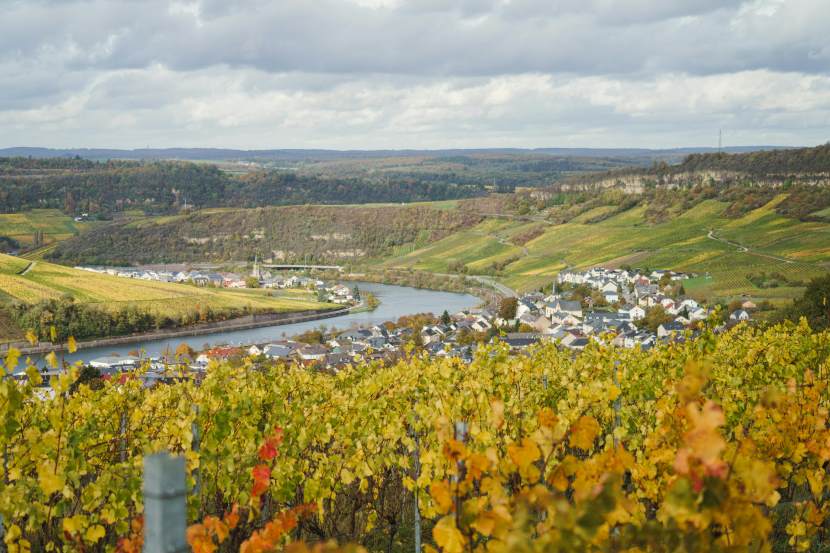Luxembourg: How Seasonal Shifts And Domestic Travel Trends Are Shaping The Tourism Industry Luxembourg: How Seasonal Shifts And Domestic Travel Trends Are Shaping The Tourism Industry