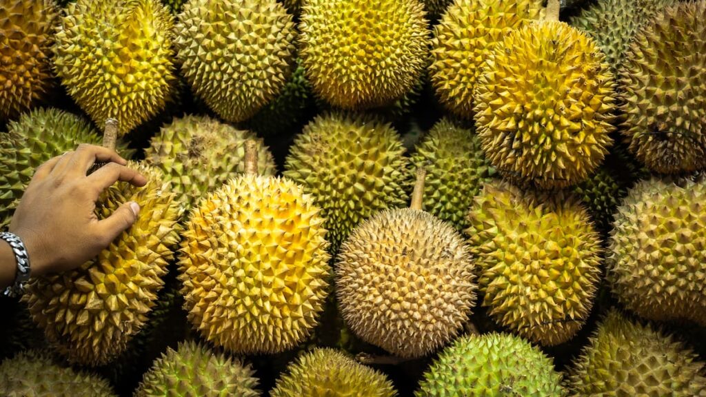 Infamous durian fruit hits New Zealand supermarkets – for a price
