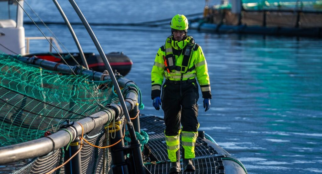 Norway salmon farmer Northern Lights worries about tax changes as profit drops Norway salmon farmer Northern Lights worries about tax changes as profit drops