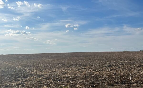 Ohio farmland values remain steady despite decline in the ag economy