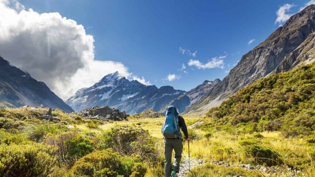 Safety Rankings 2025 — Where Does New Zealand Land?