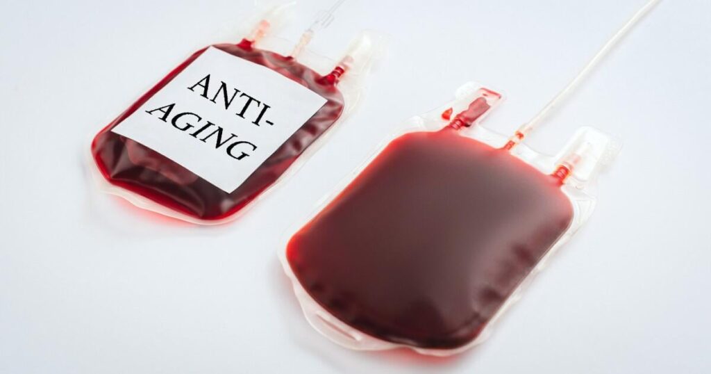 Aging skin rejuvenated by young blood and bone marrow - A new study shows that proteins secreted by bone marrow cells, triggered by young blood, can rejuvenate aging skin in the lab.