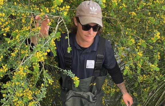 New Zealand Scientist Taylor Thomson Uses Ecological Models to Help Councils Prevent Environmental Tipping Points