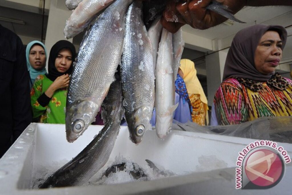 Indonesia introduces pre-border fish quarantine with Norway as top supplier