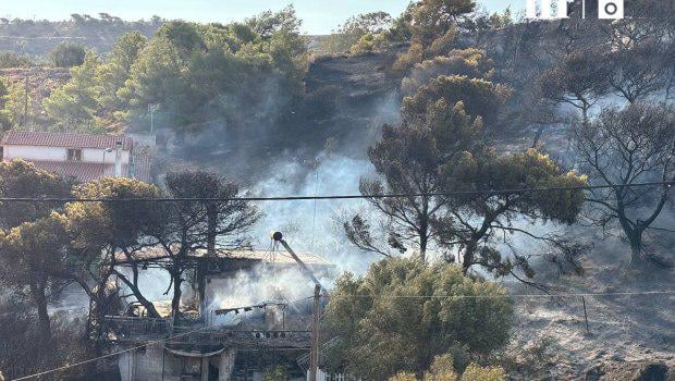 Fire in Keratea: "Gasaki was found in Agios Nikolaos" - the Deputy Mayor of Saronikos complains