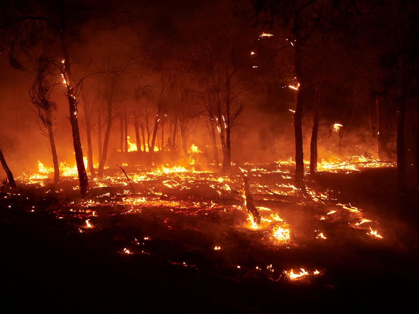 Burning trees are pictured during a wildfire in Carcastillo, northern Spain, Sunday.