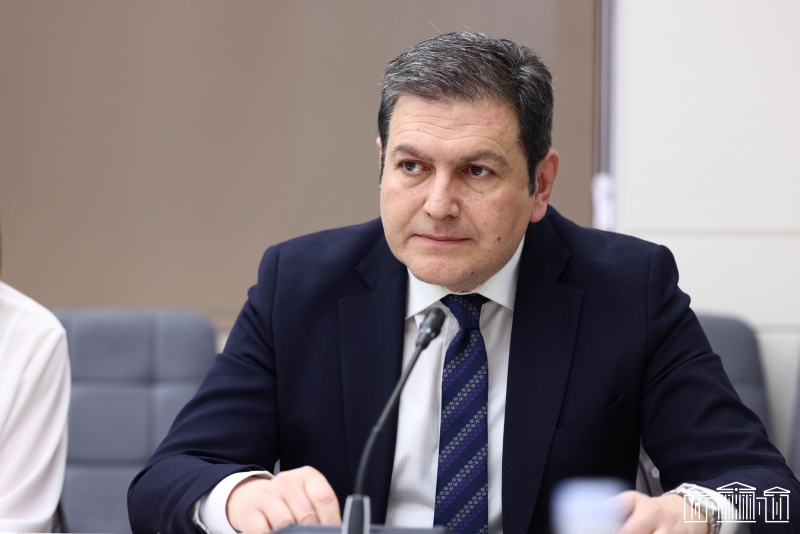 Armenian Deputy FM elected UNECOSOC Vice-President – Public Radio of Armenia