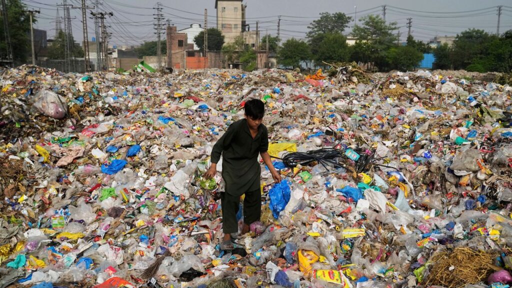 A scavenger collects recyclable items including plastic from a dump site in Lahore, Pakistan, Thursday, Aug. 7, 2025. (AP Photo/K.M. Chaudary)