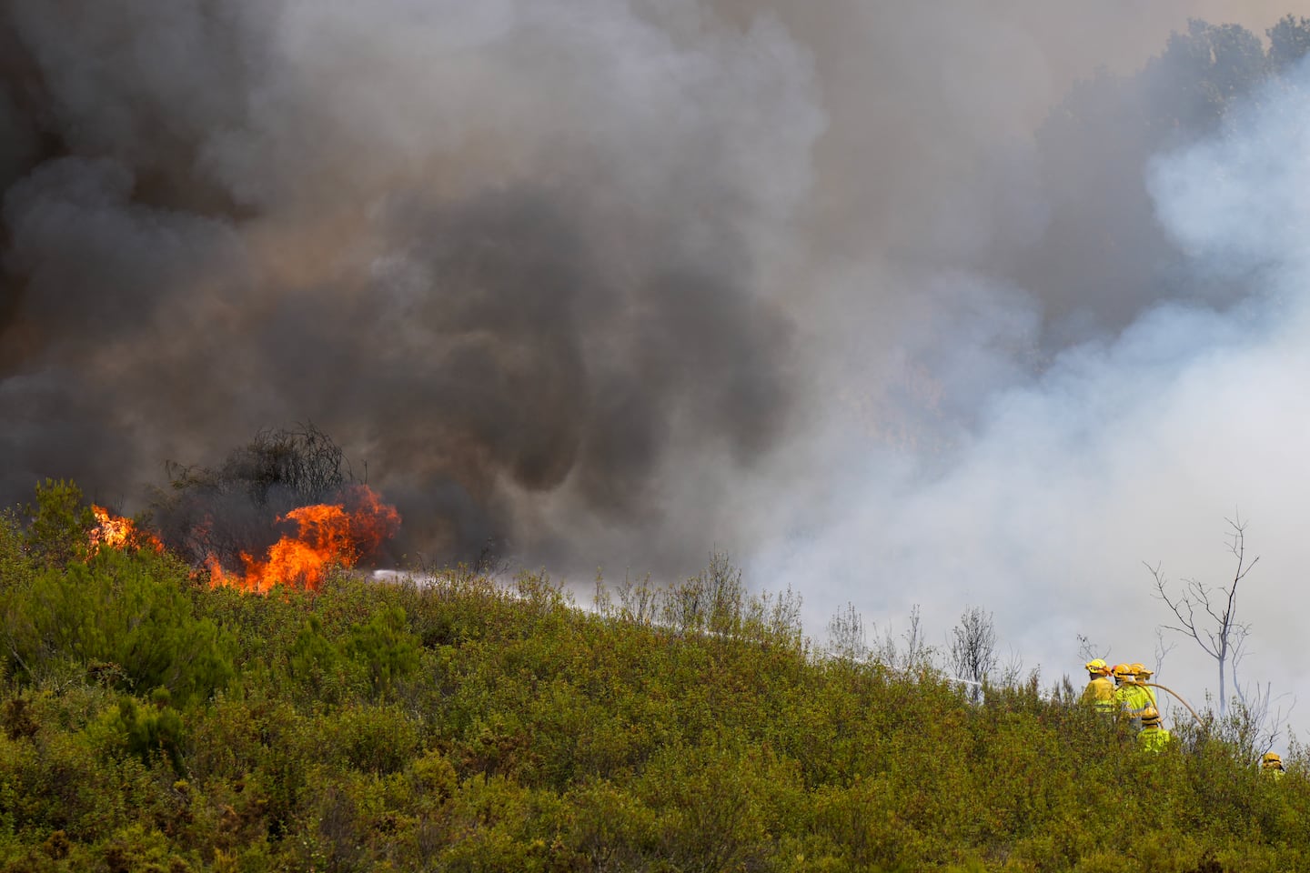 Firefighters battle a wildfire near the village of Abejera in Zamora province on Wednesday.