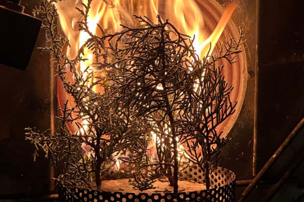 Trees may be getting more flammable because of climate change