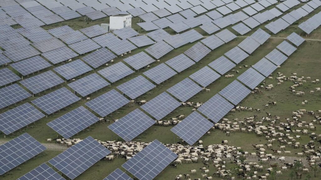 China races to build world’s largest solar farm to meet emissions targets (235 square miles, the size of Chicago)