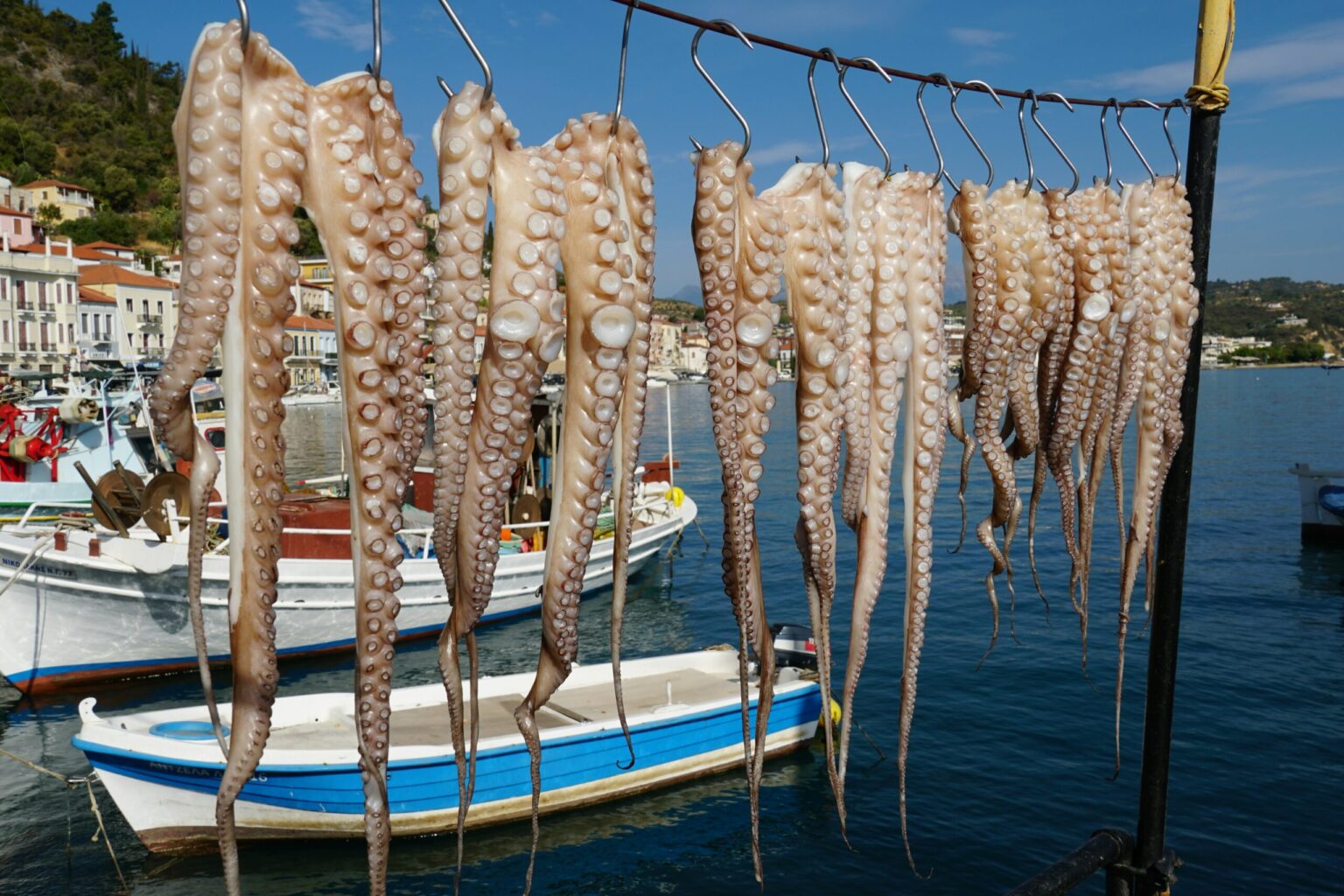 Greece makes strides to reverse overfishing off Amorgos