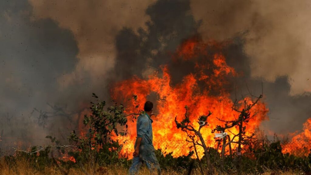 Spain’s third-longest heat wave on record kills over 1,100 as country continues to battle wildfires – Firstpost