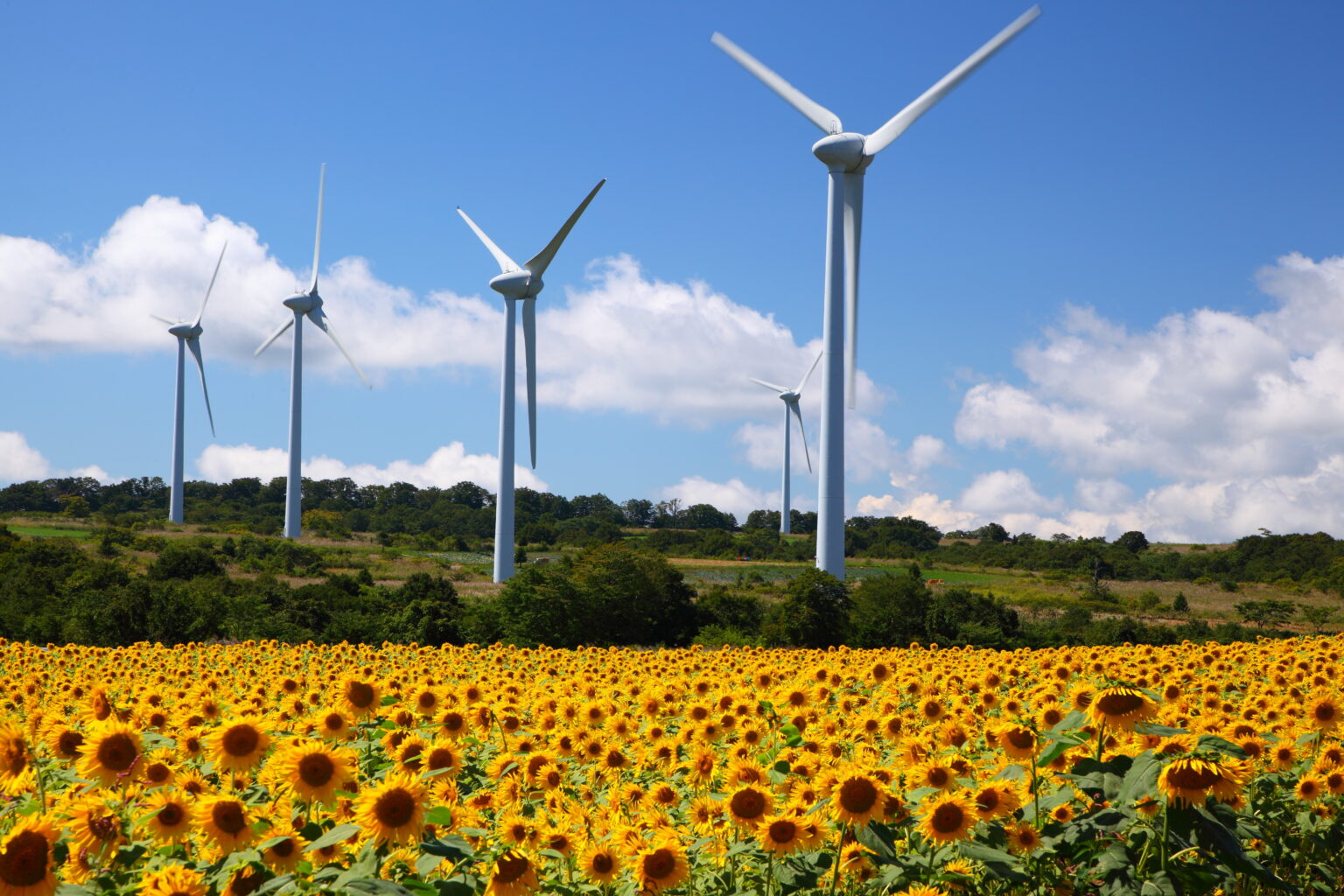Japan can power Southeast Asia's clean energy future