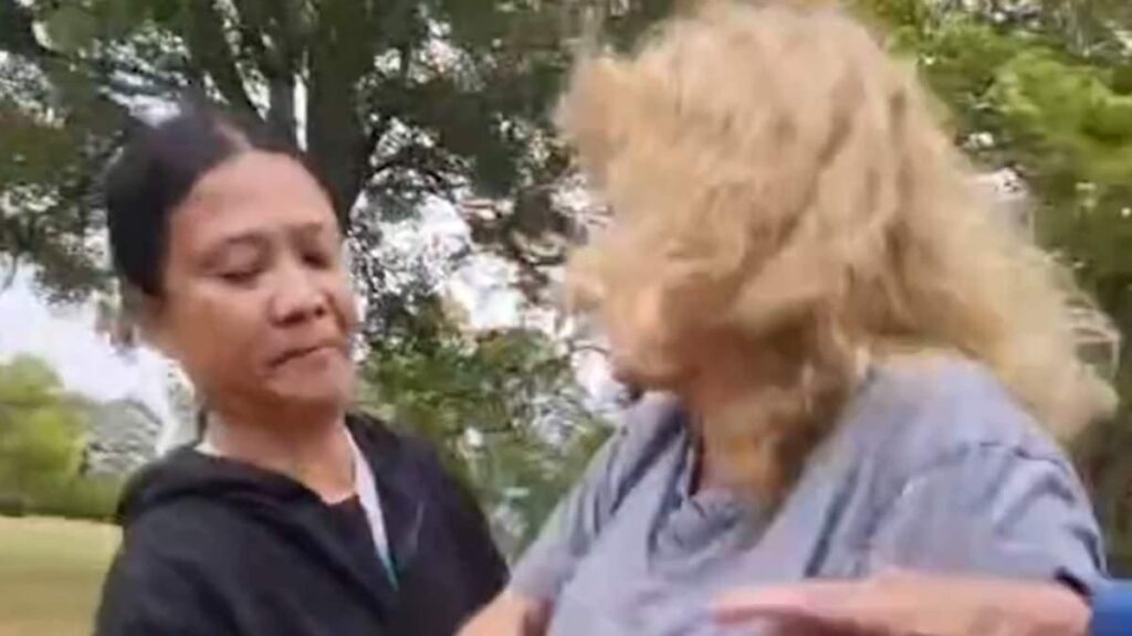 Racist couple demand to know if British NHS nurse 'came here on a rubber boat' in furious attack as they walk dog in park