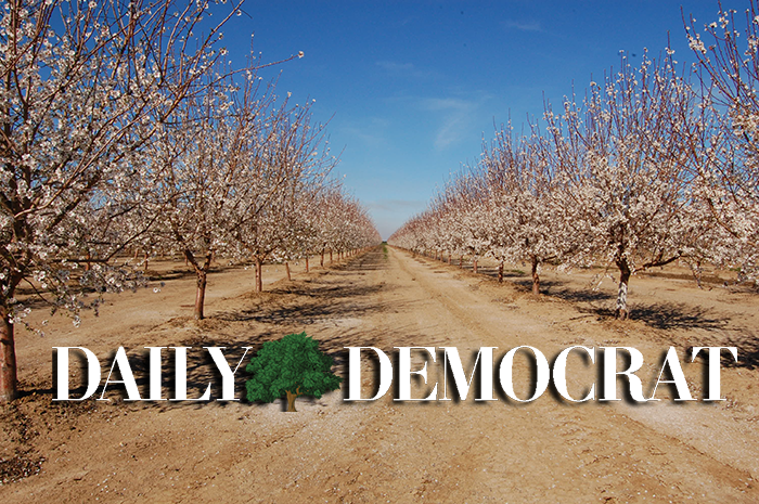 Yocha Dehe Wintun Nation awards $250,000 grant for Urban Indian Health – Daily Democrat dailydemocrat default image