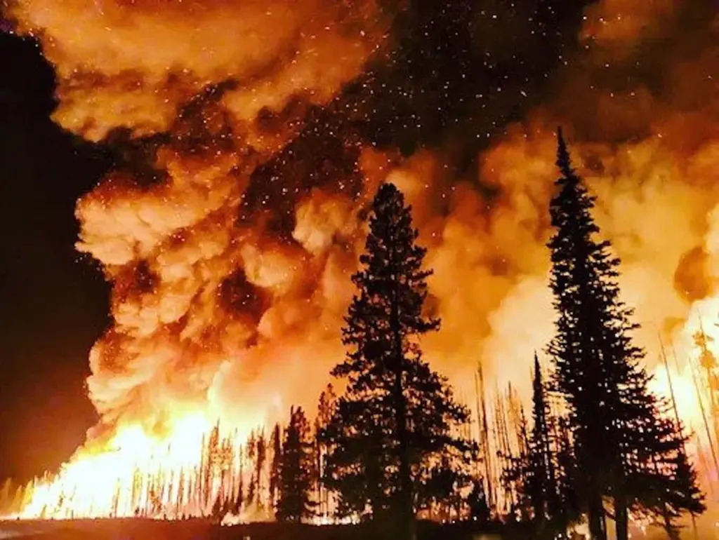 Spain Battles Devastating Wildfires as EU Ramps Up Support