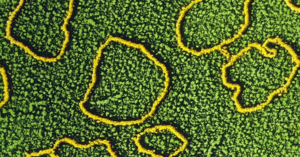 Scientists Are Learning to Rewrite the Code of Life
