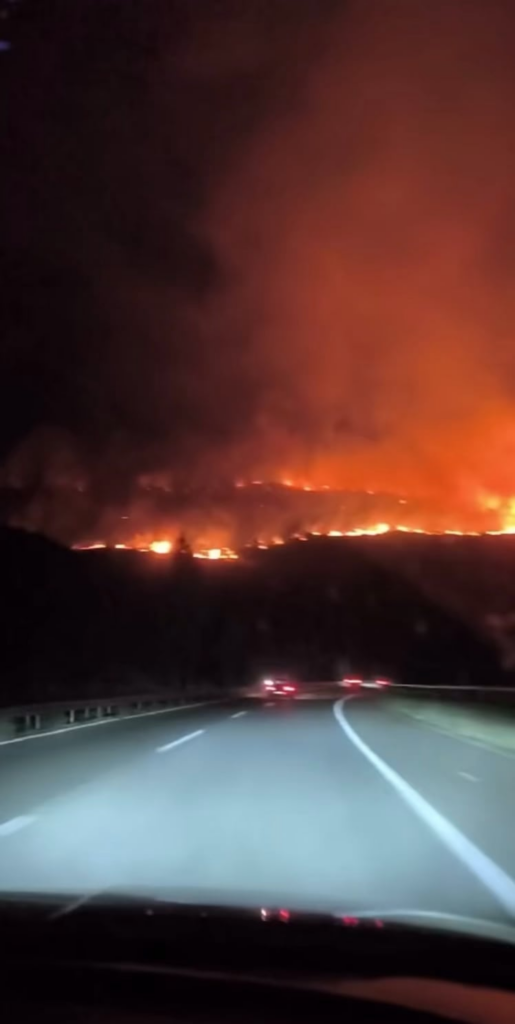 Pominal fog Patot Tetovo-skimming karpalak…