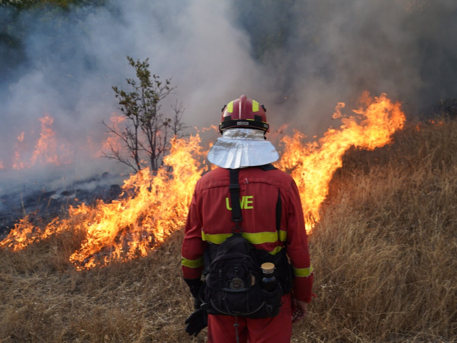 Mediterranean wildfires are no accident | Environment