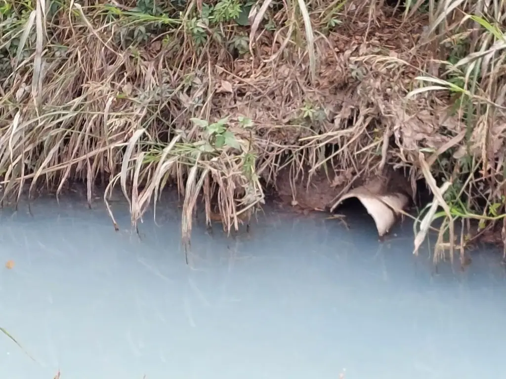 Entre Ríos Justice orders to suspend irrigation with contaminated water in Crespo: historic ruling in favor of the environment
