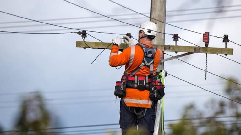 An electrical worker from a power supply company works high up on the power lines in Sheffield, Canterbury.