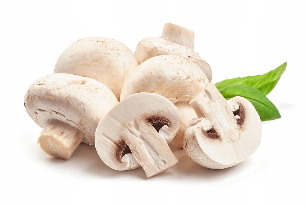 Nice flex that we have a specific name for mushrooms, during the English is just Mushroom.