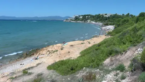 EVN/ Radio Television Espanola A sparsely populated beach close to where the boys are believed to have drowned - it has a narrow sandy beach with an expanse of sea to the left of the image and a green embankment above the beach of the right with the shoreline curving around to the left and into the distance.