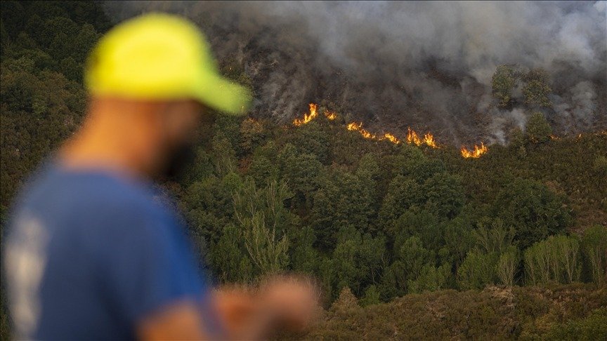 Nearly 865,000 acres burned in Spain over past 13 days amid raging wildfires
