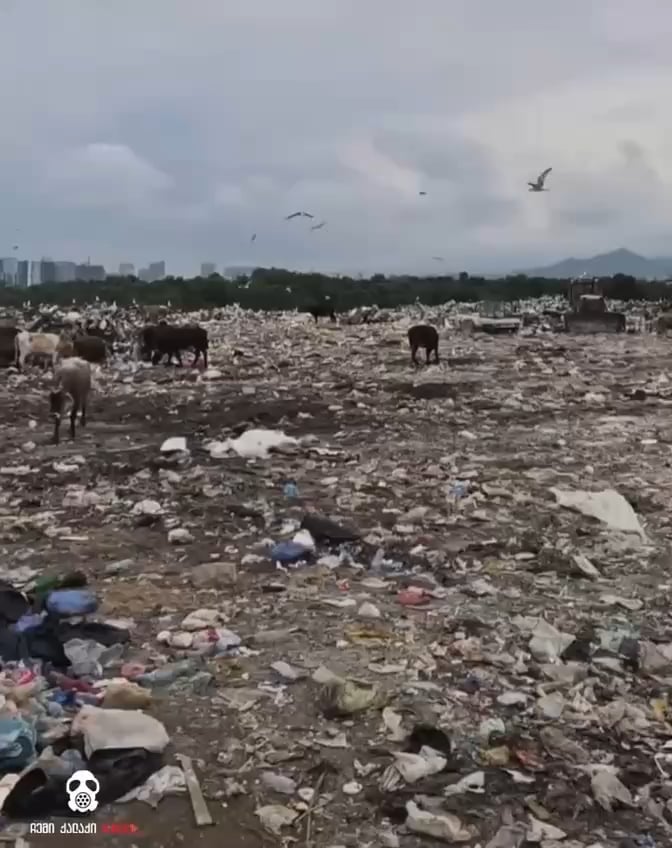 Waste Dump in Batumi