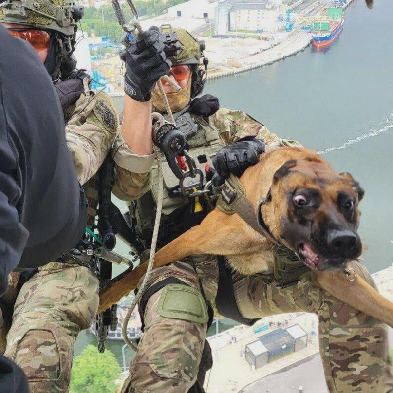 Polish SPKP operator preparing for a helicopter descent with his not so keen service dog