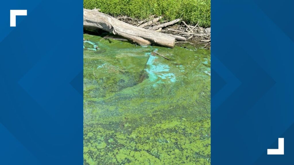 Health advisory issued for Snake River amid algal bloom