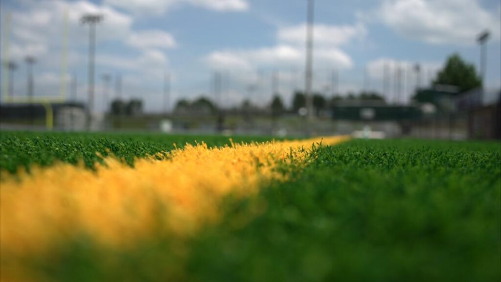 Virginia High School League reports rise in racial slurs during game ejections