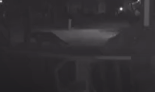 Was the big cat spotted in Greece? Police and DEC respond