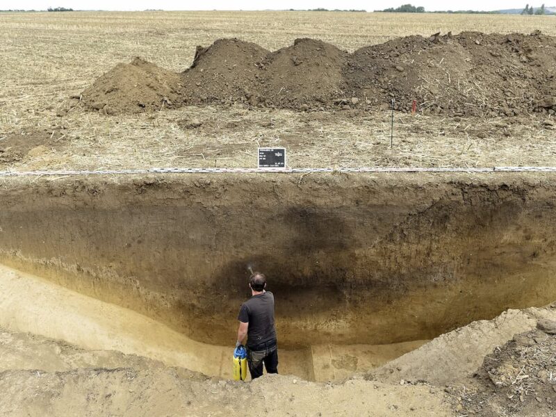 When the first hierarchies began to emerge, people simply left — they voted with their feet