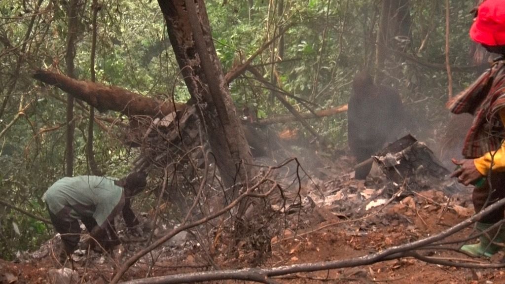 Ghana helicopter crash kills defence and environment ministers
