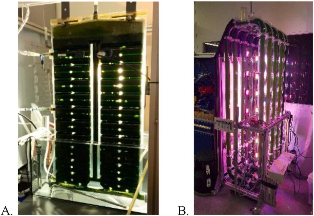 Lunar photobioreactors could provide food and oxygen on the moon