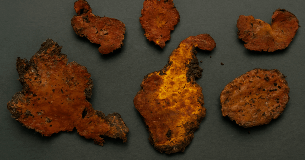 A newly discovered natural compound from a fungus that's only found on trees in Taiwan effectively blocks inflammation and pauses the proliferation of cancer cells. In lab tests, the compound suppressed inflammation and stopped the proliferation of lung cancer cells.