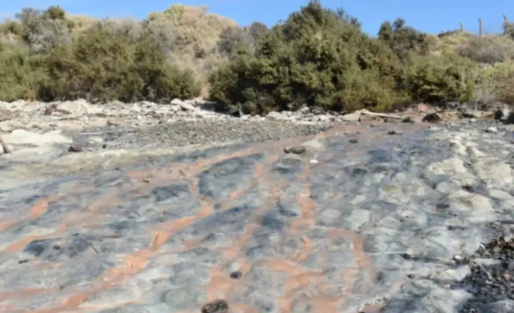 The trial against Conarpesa executives for alleged environmental damage began in Puerto Madryn.
