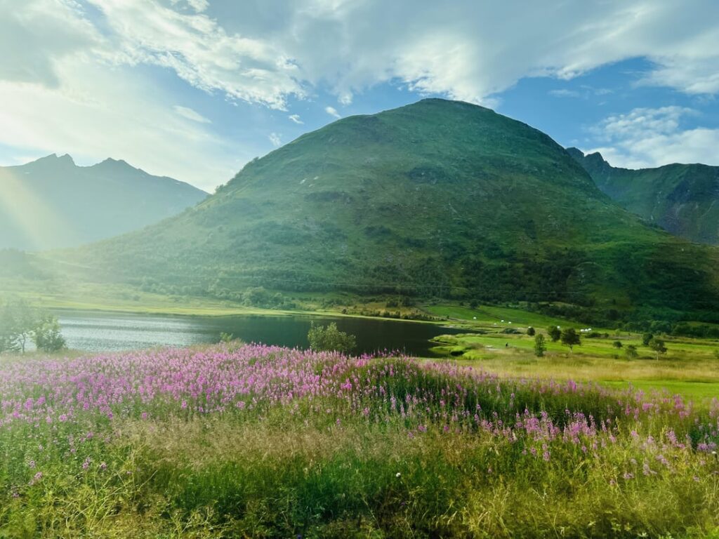 We’re in Lofoten, so gorgeous