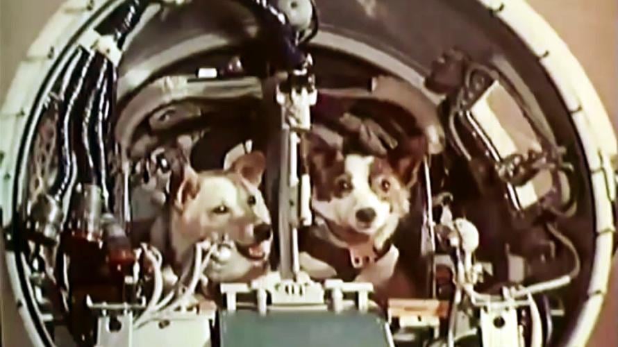 Korabl-Sputnik 2: The First Animals Recovered from Orbit - 65 years ago
