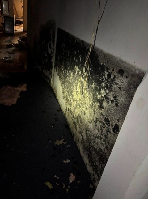 families evacuated from effingham motel after conditions deemed too dangerous