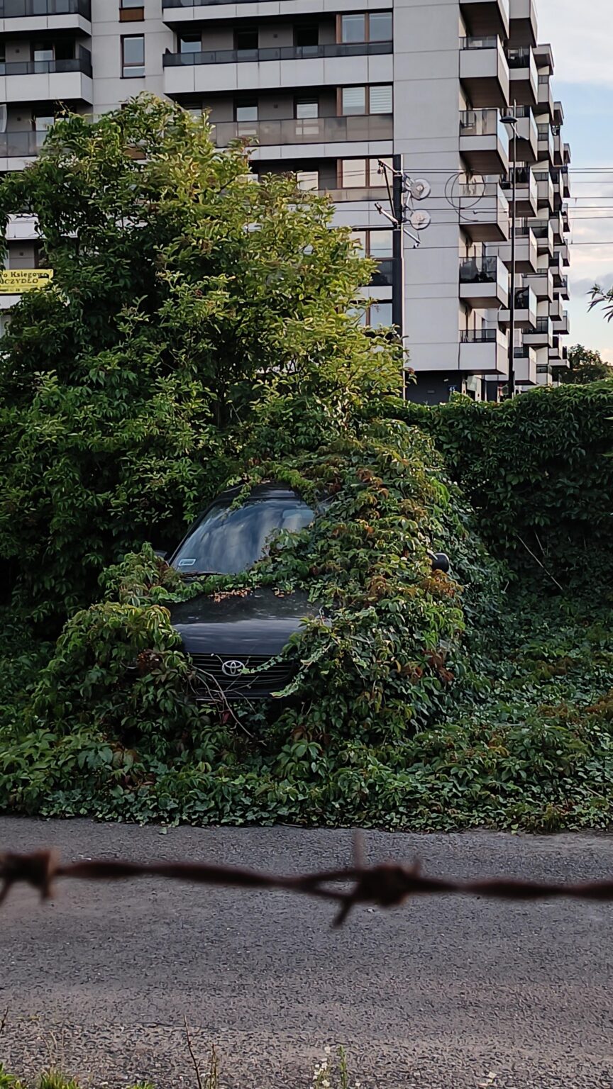 The power of Polish nature 2